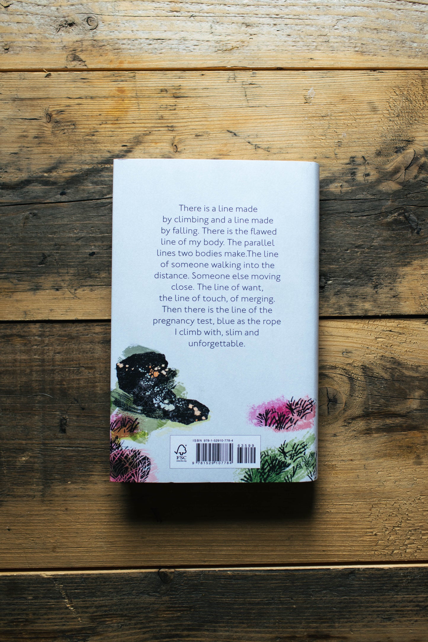 A Line Above the Sky: On Mountains & Motherhood (Hardback) by Helen Mort