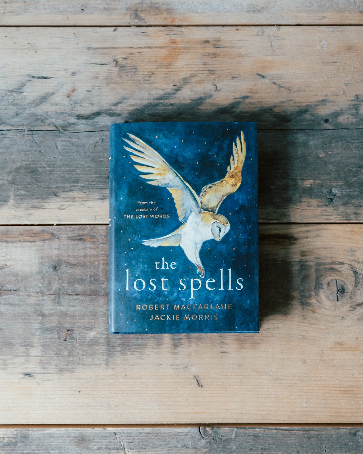 The Lost Spells by Robert Macfarlane and Jackie Morris