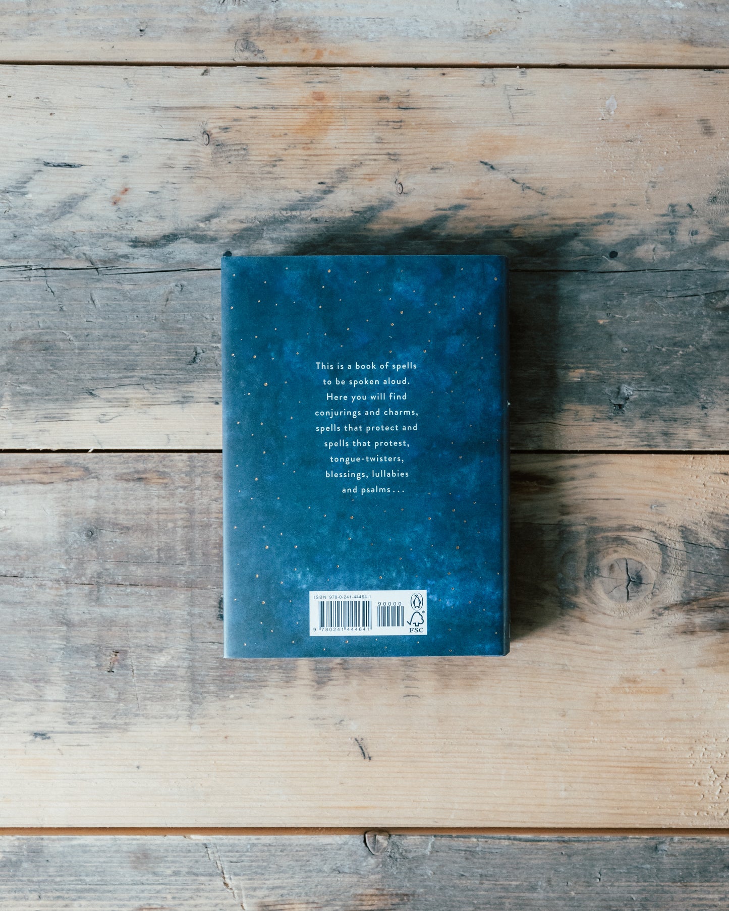 The Lost Spells by Robert Macfarlane and Jackie Morris