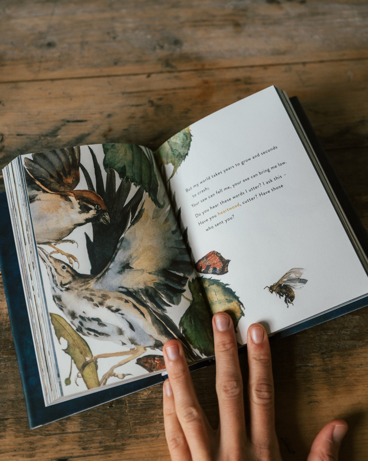The Lost Spells by Robert Macfarlane and Jackie Morris