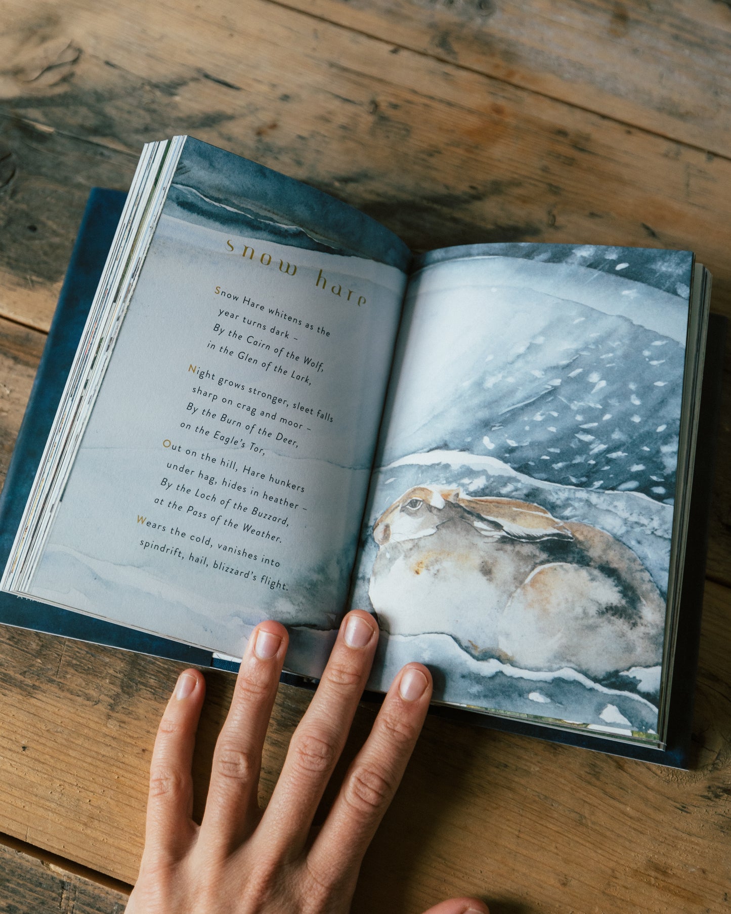 The Lost Spells by Robert Macfarlane and Jackie Morris