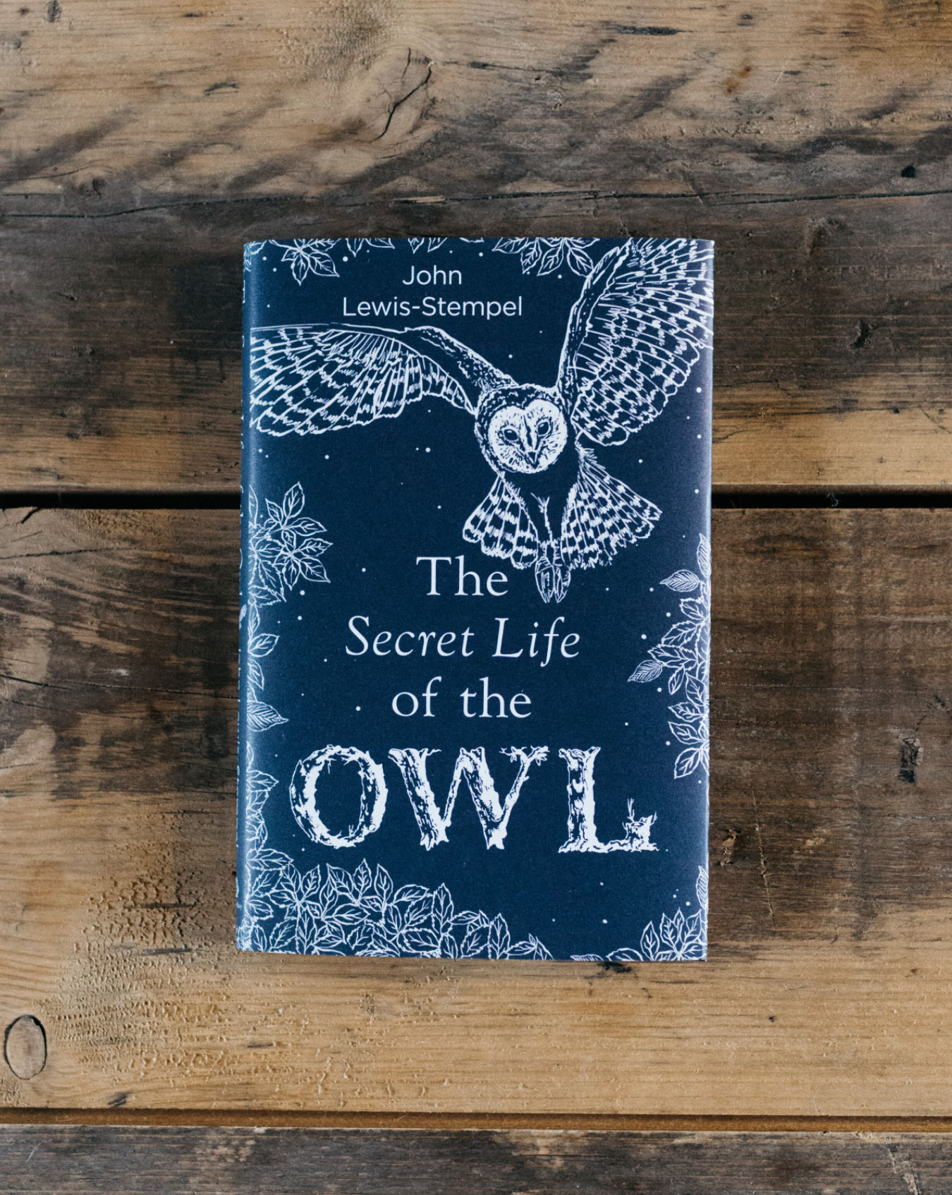 The Secret Life of the Owl by John Lewis-Stempel