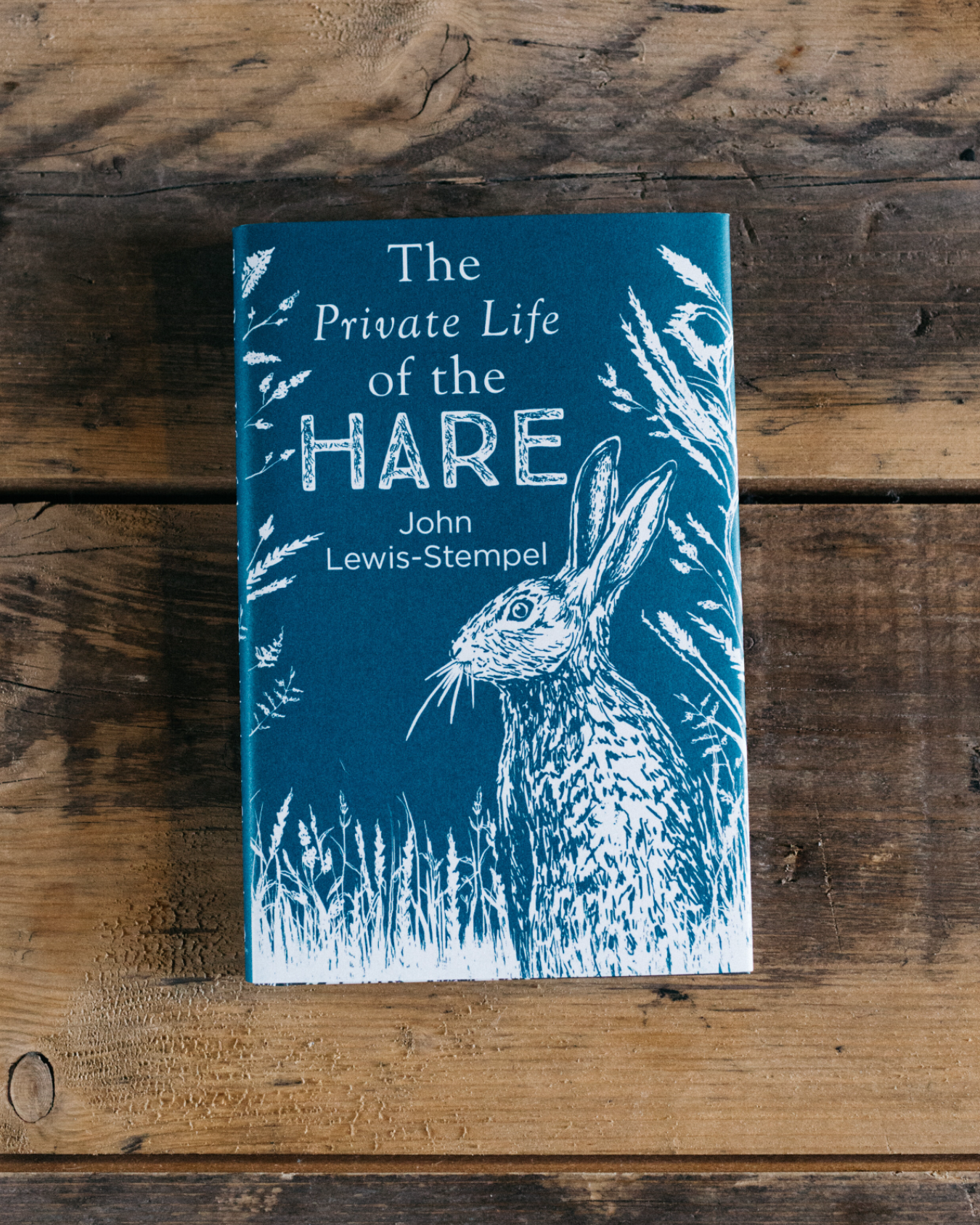 The Private Life of the Hare by John Lewis-Stempel