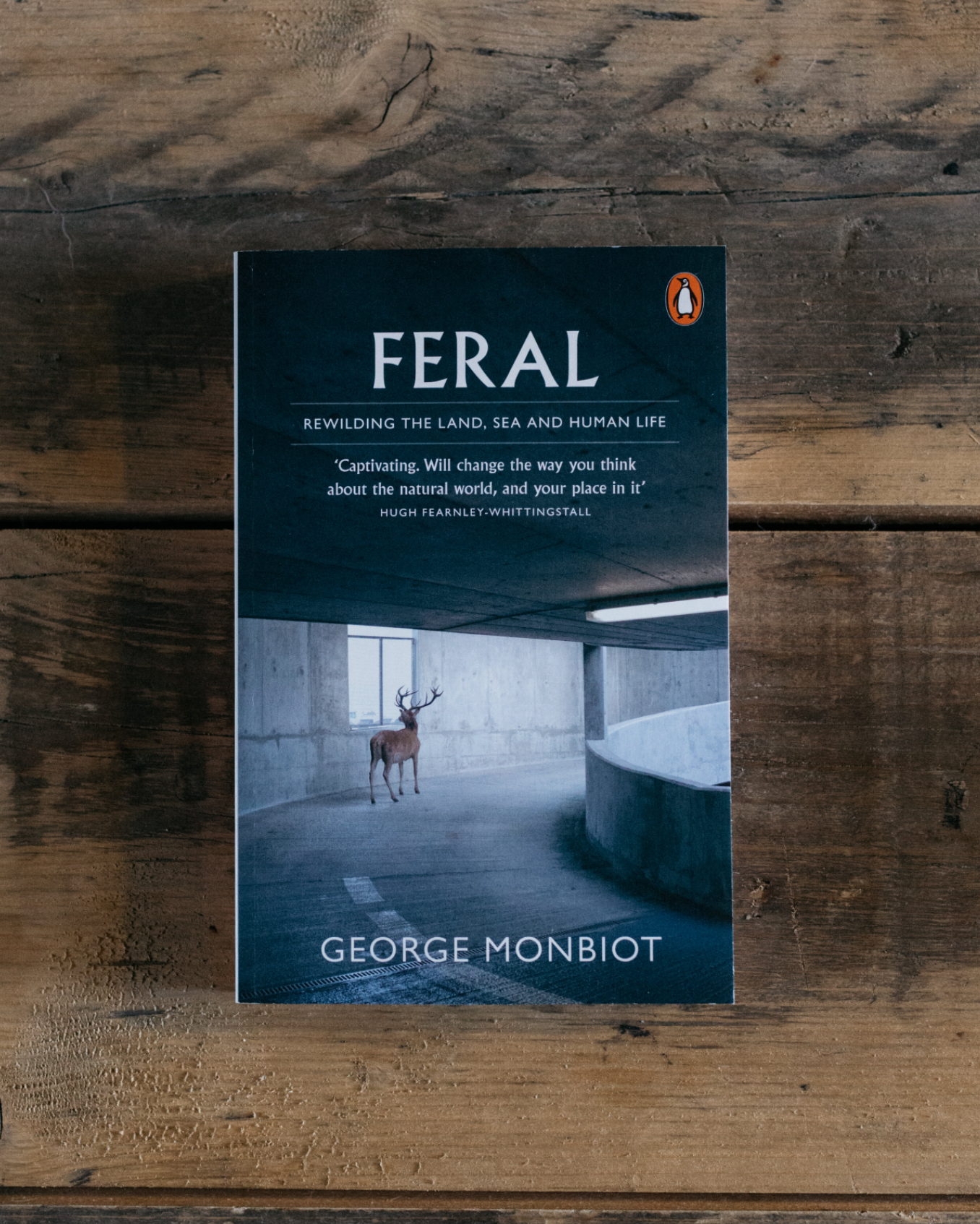 Feral: Rewilding the Land, Sea and Human Life by George Monbiot