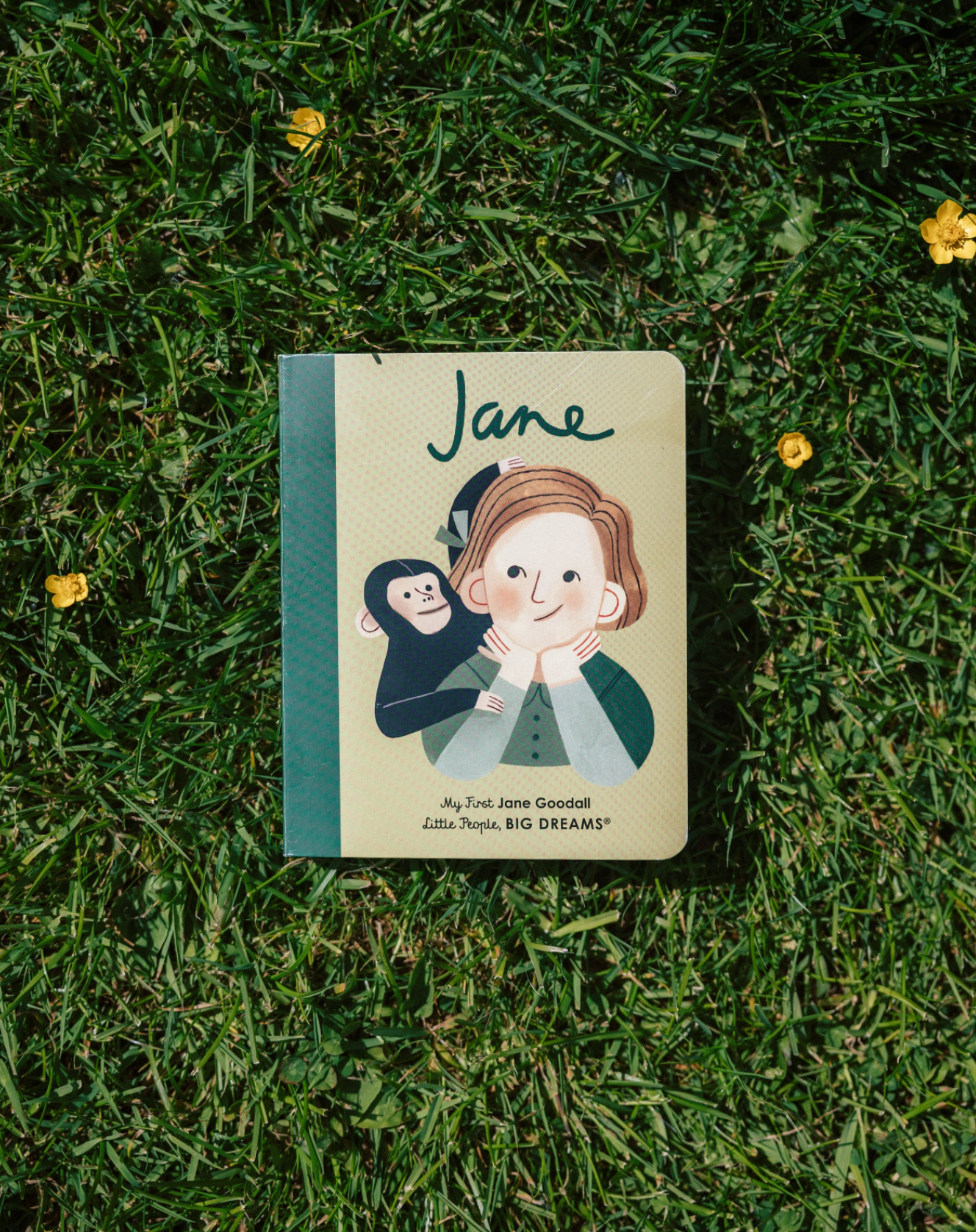 Jane Goodall: Volume 19: My First Jane Goodall - Little People, BIG DREAMS (Board book)