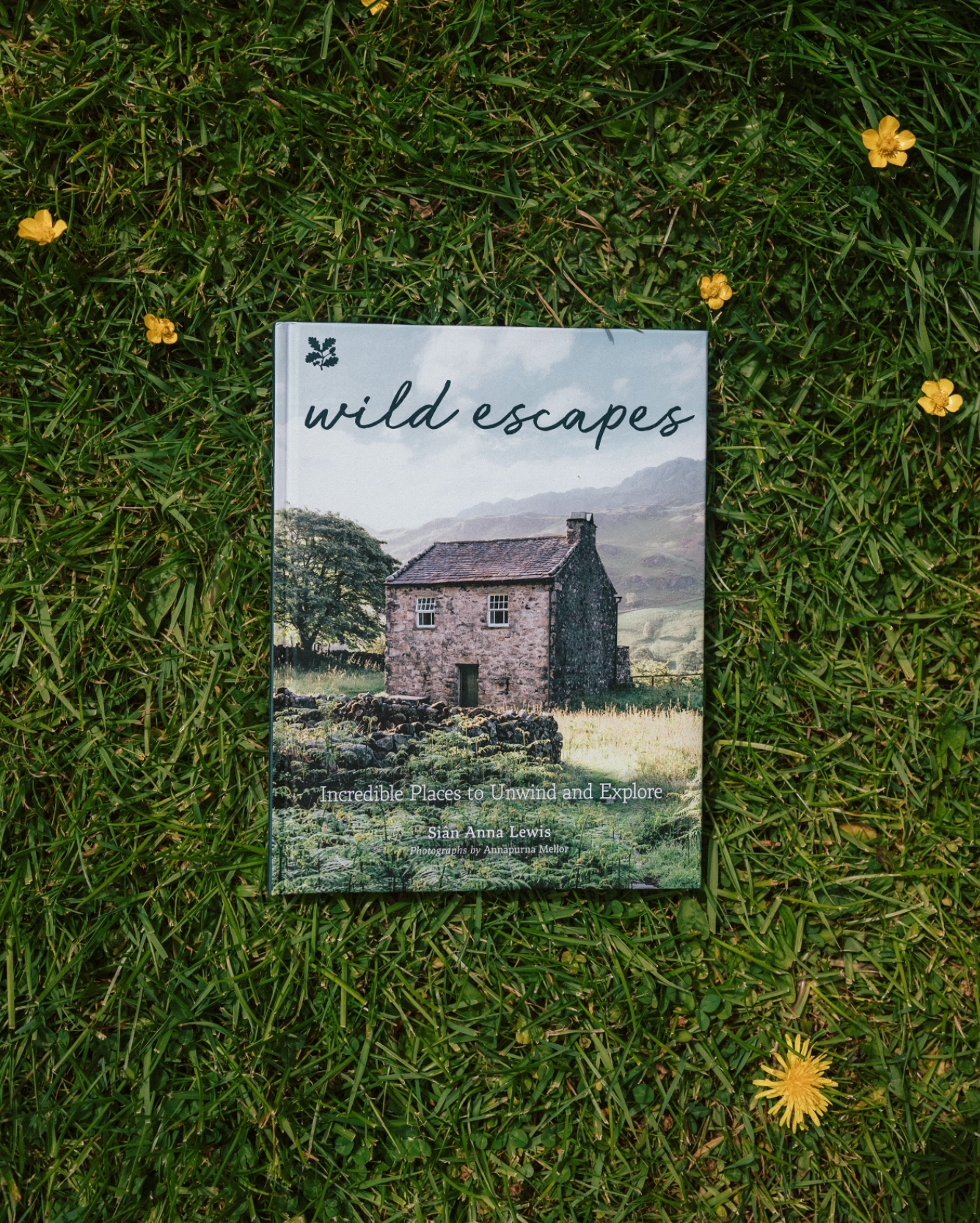 Wild Escapes by Siân Anna Lewis