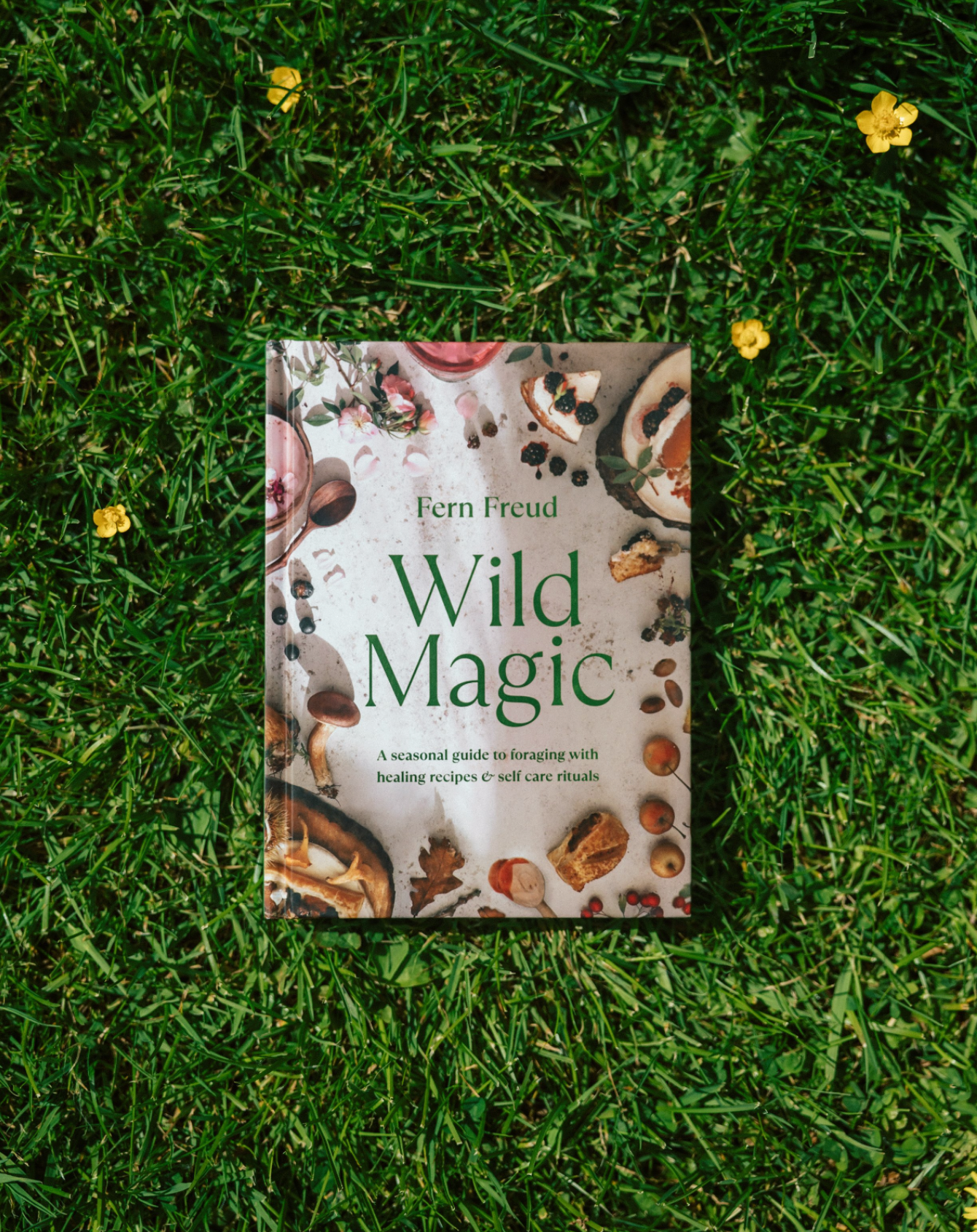 Wild Magic by Fern Freud