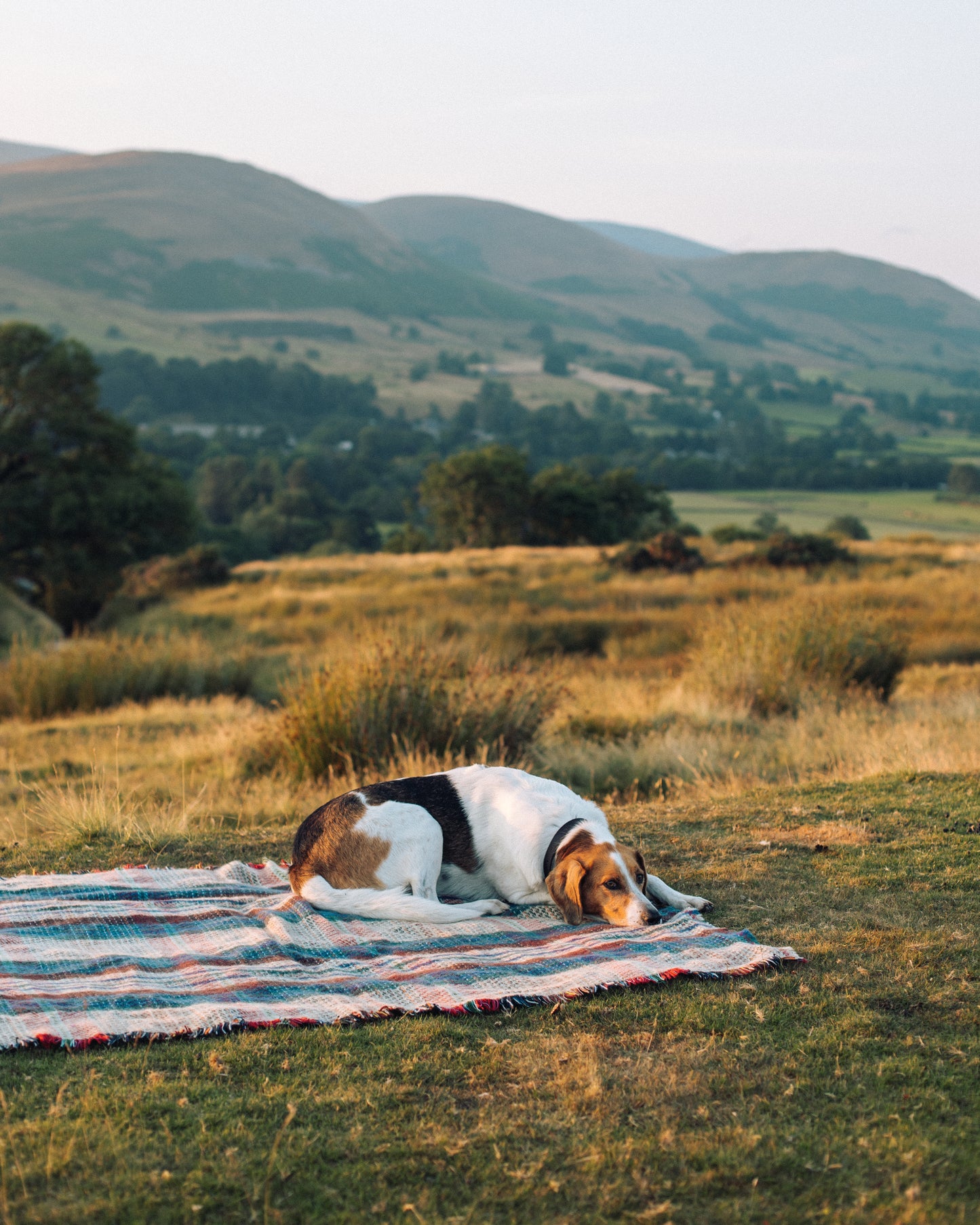 Recycled Wool Blanket