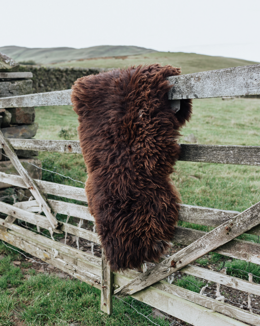 Dartmoor Shepherd Welsh Mountain Brown Sheepskin Rug